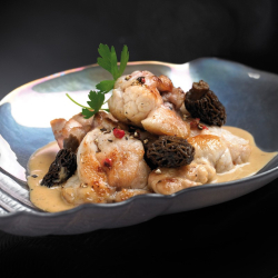 Les Ris de Veau Braisés en Cocotte Mijotés aux Morilles et au Jus de Truffes Noires du Périgord