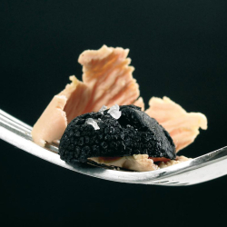 Les Brisures de Truffes Noires du Périgord verrine de 15 g