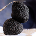 Les Truffes Noires du Périgord Entières Brossées 1er Choix