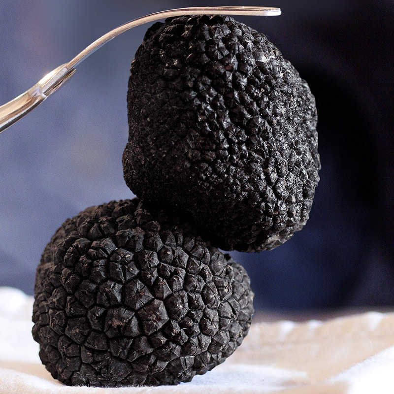 Les Truffes Noires du Périgord Entières Brossées 1er Choix