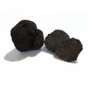 Les Truffes Noires du Périgord Entières Brossées Extra "1ère Cuisson"
