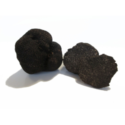 Les Truffes Noires du Périgord Entières Brossées Extra "1ère Cuisson"