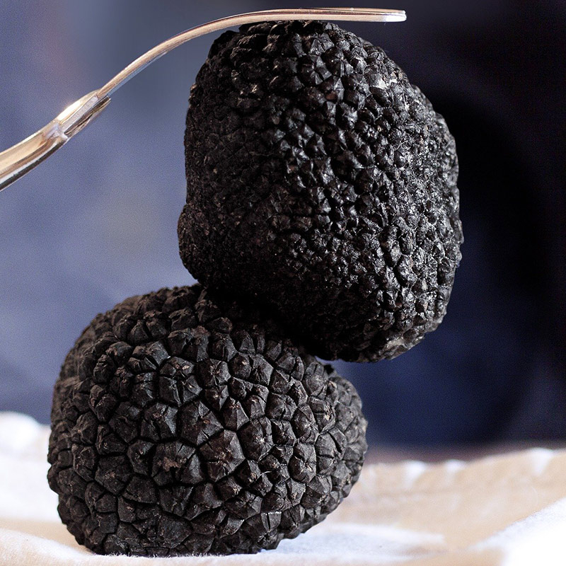 Les Truffes Noires du Périgord Brossées 1er choix 1ere cuisson