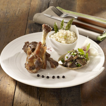 Confit de Manchons de Canard du Sud Ouest, Vente en ligne de Manchon