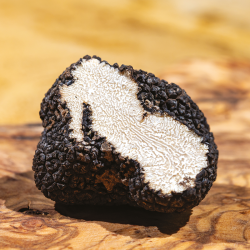 Les Truffes de la Saint Jean Entières Brossées "Tuber Aestivum"