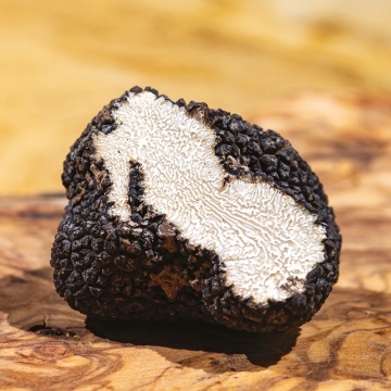 Les Truffes de la Saint Jean Entières Brossées "Tuber Aestivum" - Valette Foie Gras