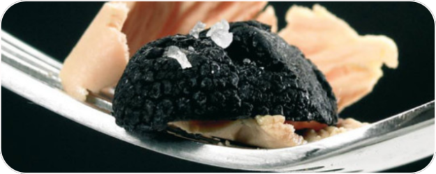 Truffes Noires du Périgod - Tous Nos Conditionnements - Valette