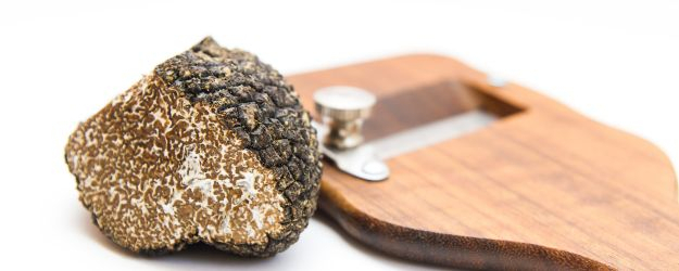 Truffe d'Été - Le Joyaux Méconnu du Périgord - Maison Valette