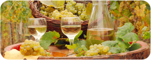 Vins blancs du Sud-Ouest au meilleur prix - La Cave de Valette