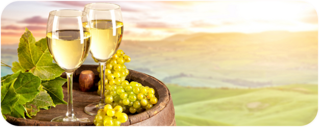 Vins blancs moelleux : découvrez notre gamme raffinée - Valette